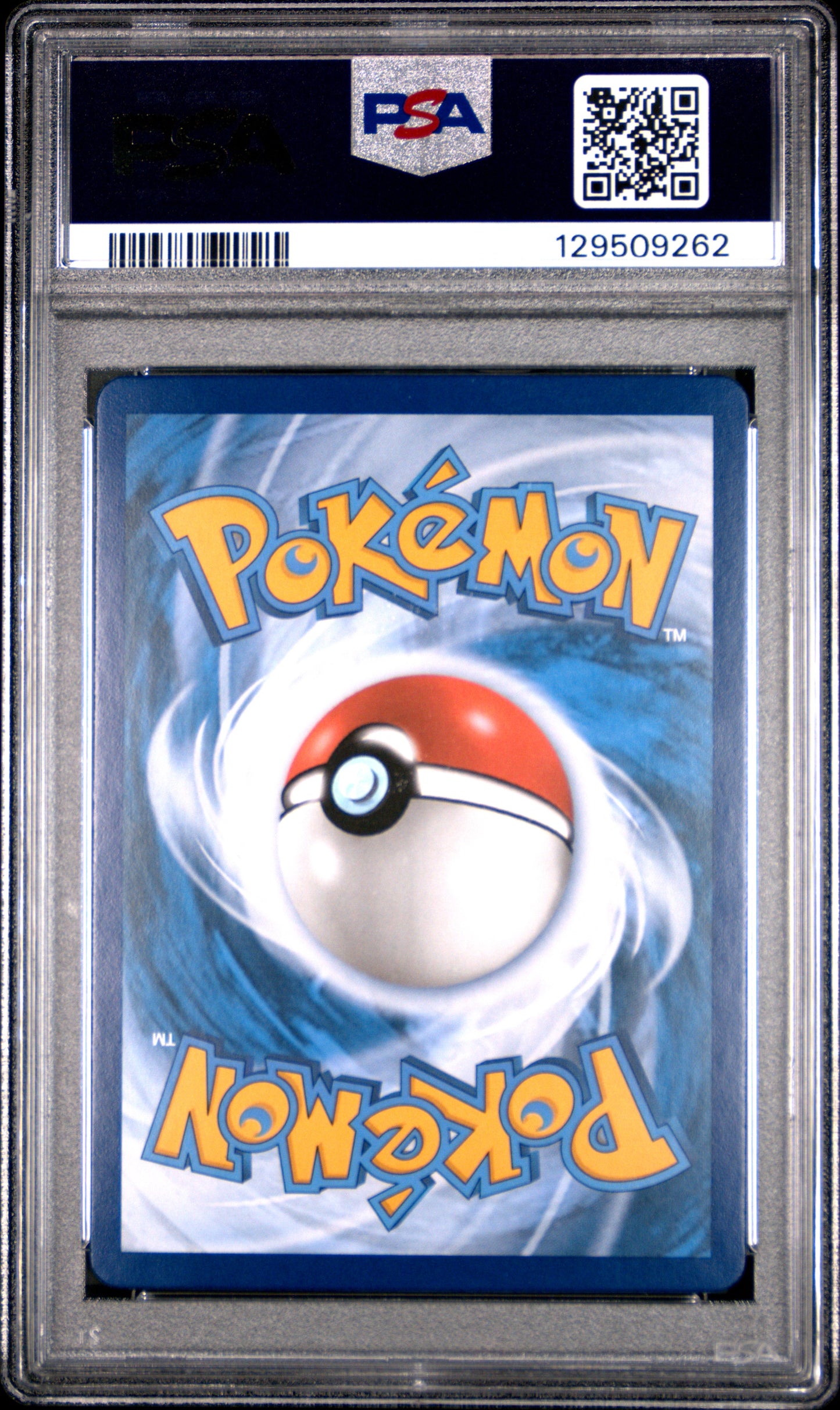 PSA 10 Lucario VSTAR #291 Pokémon SWSH Black Star Promo English 2023