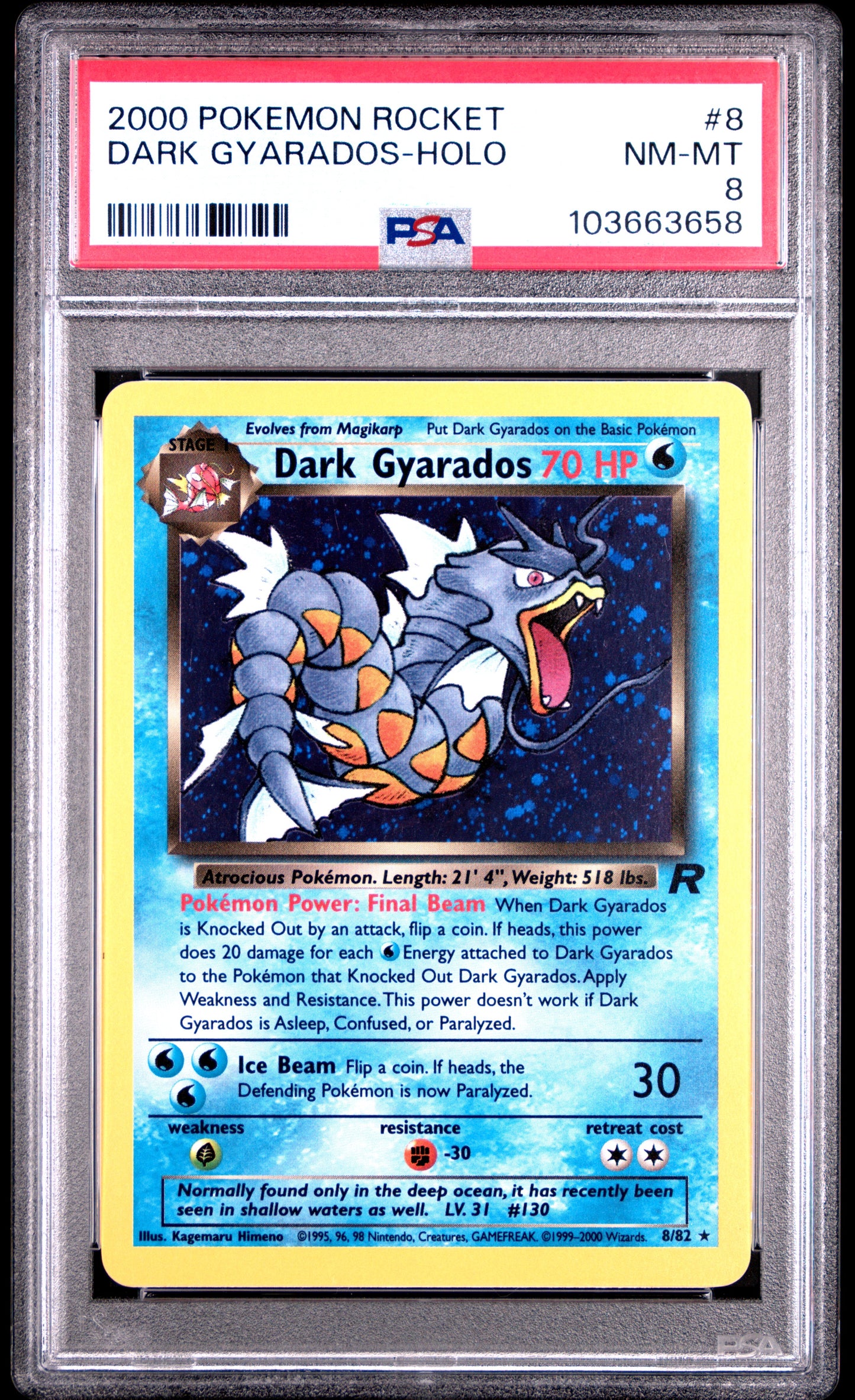 PSA 8 Dark Gyarados Holo #8 Pokémon Pokemon Rocket English 2000