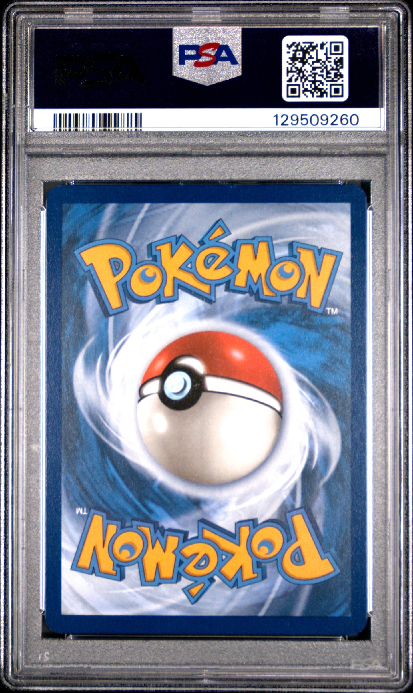 PSA 10 Lucario VSTAR #291 Pokémon SWSH Black Star Promo English 2023