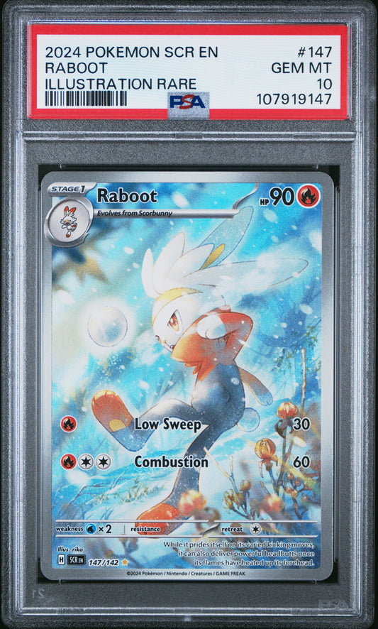 PSA 10 Raboot #147 Pokémon Stellar Crown English 2024