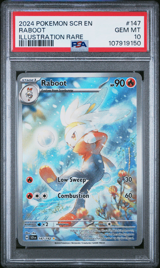 PSA 10 Raboot #147 Pokémon Stellar Crown English 2024