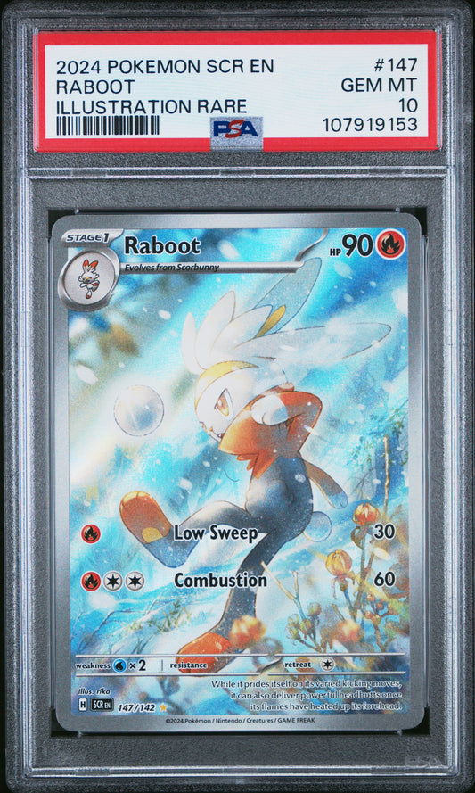 PSA 10 Raboot #147 Pokémon Stellar Crown English 2024